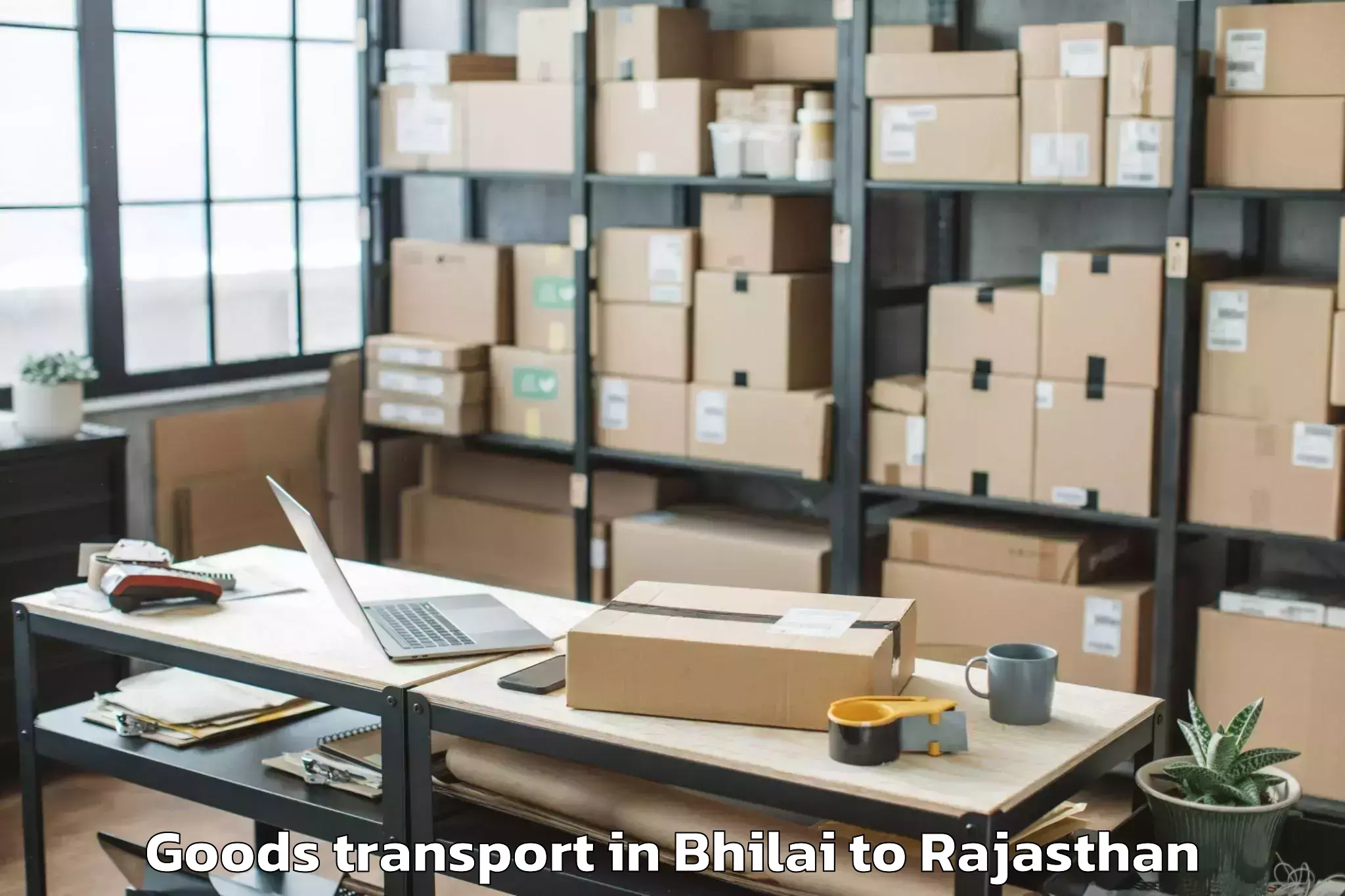 Top Bhilai to Dudu Goods Transport Available